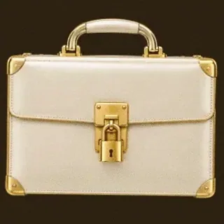 Locked leather briefcase — Stay
