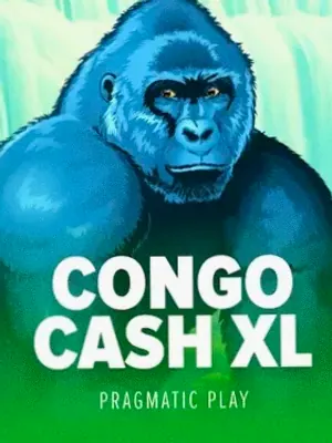 Congo Cash XL at Stay